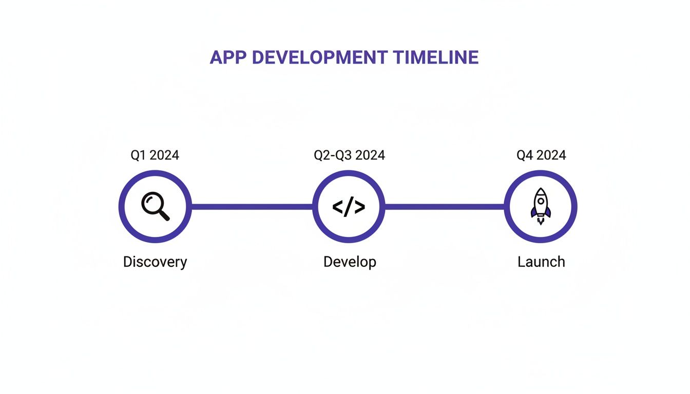Timeline illustrating the app development process across 2024, with discovery, development, and launch phases.