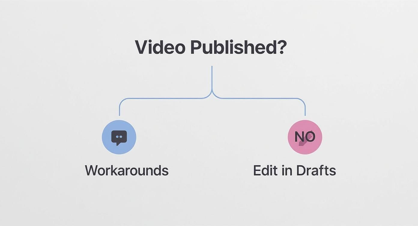 Infographic decision tree asking 'Video Published?'. 'NO' points to 'Edit in Drafts' with a pencil icon. 'YES' points to 'Workarounds' with a pin comment icon.