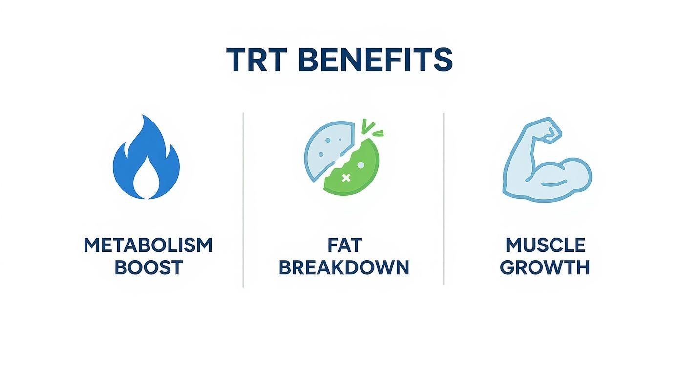 An infographic detailing TRT benefits, including metabolism boost, fat breakdown, and muscle growth, shown with icons.