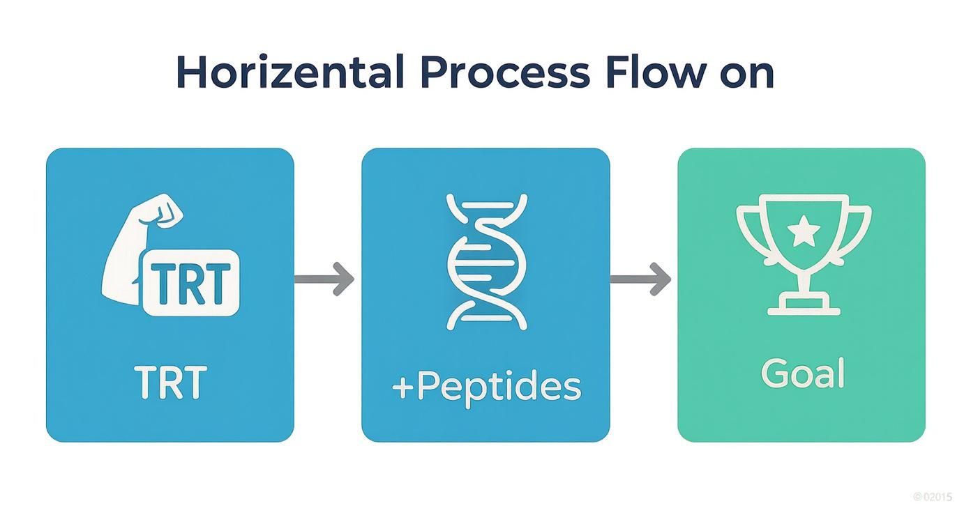 Infographic about trt and peptides