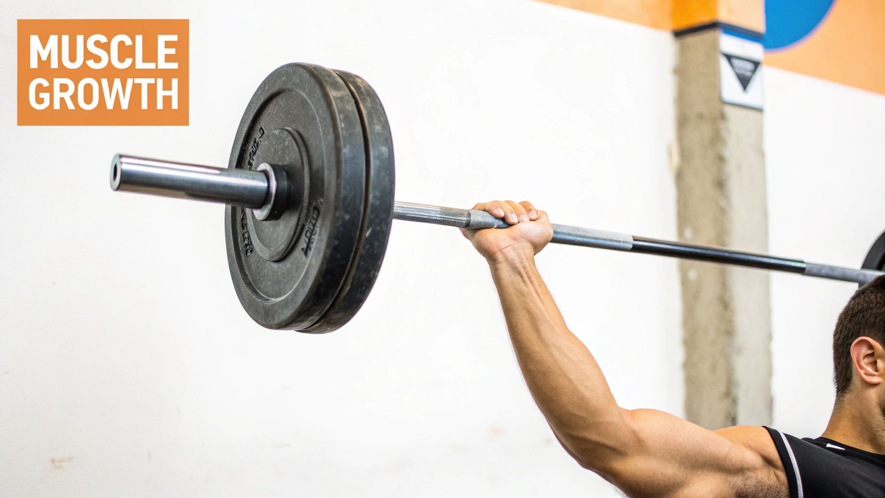 IGF-1 LR3 (Insulin-like Growth Factor-1 Long R3)