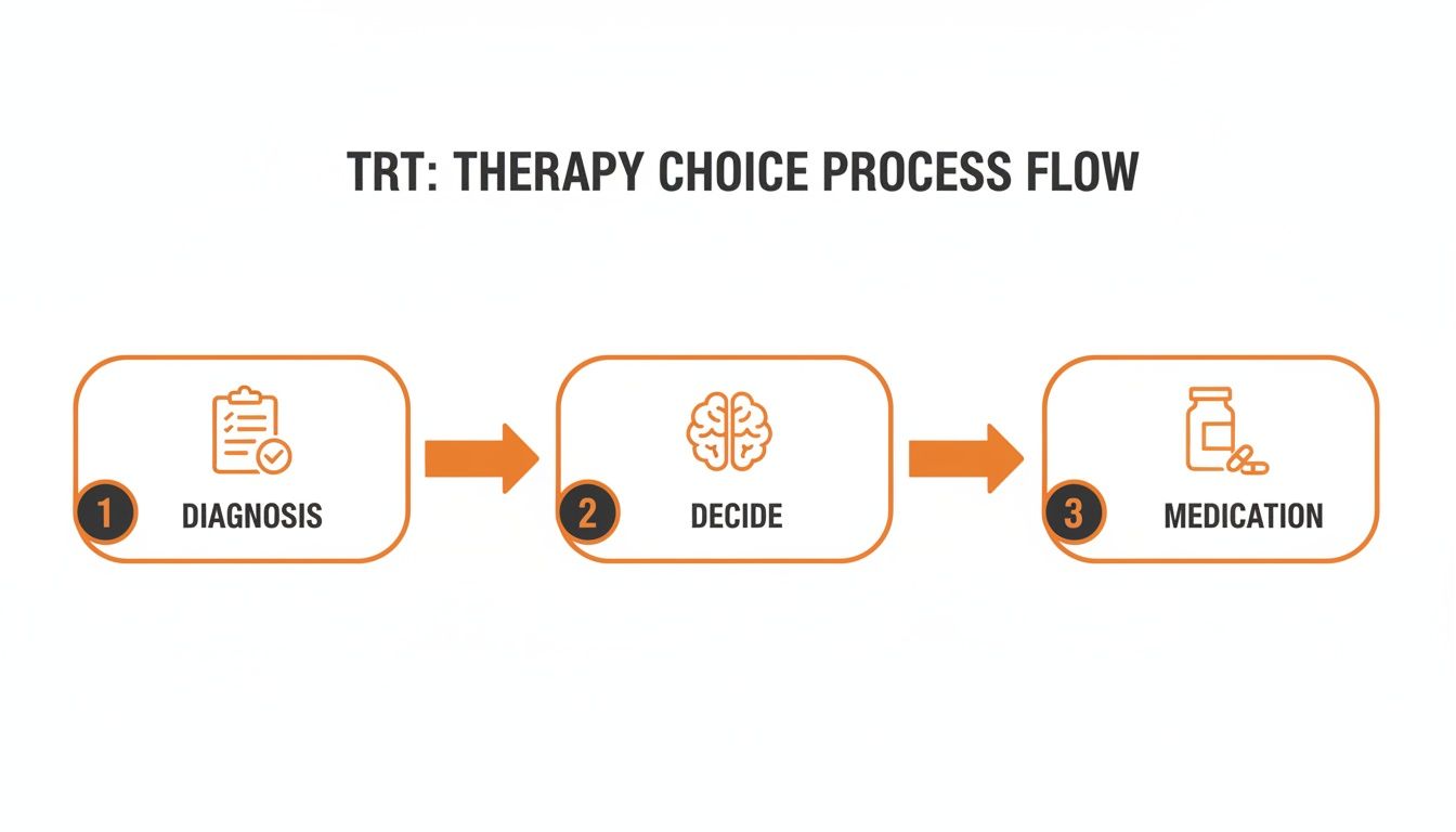 A process flow diagram for TRT therapy choice: Diagnosis, Decide, and Medication steps.