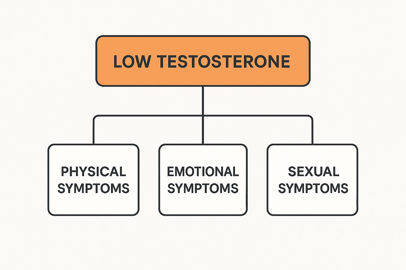 Infographic about symptoms of low testosterone in women