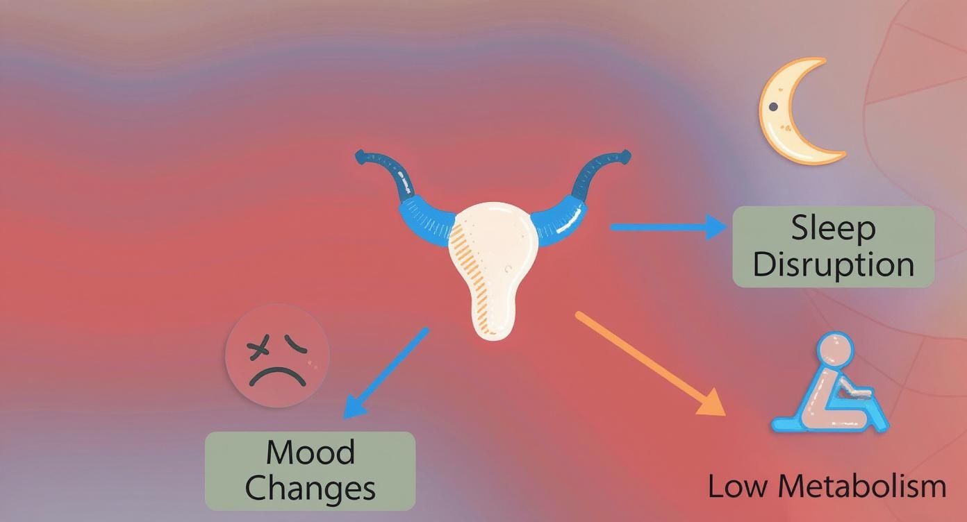 Diagram showing how low estrogen affects sleep disruption, mood changes, and metabolism with icons