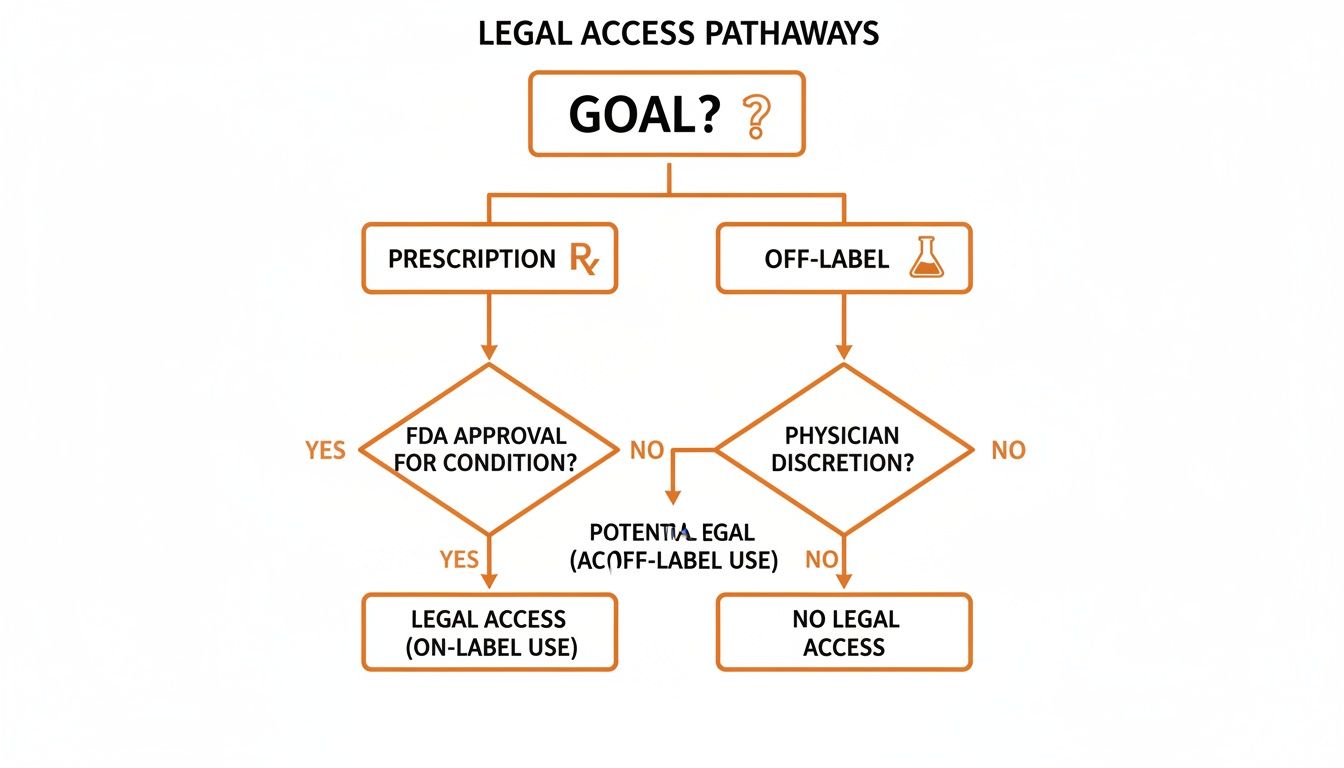 Flowchart illustrating legal access pathways for treatments, including prescription, off-label use, FDA approval, and physician discretion.