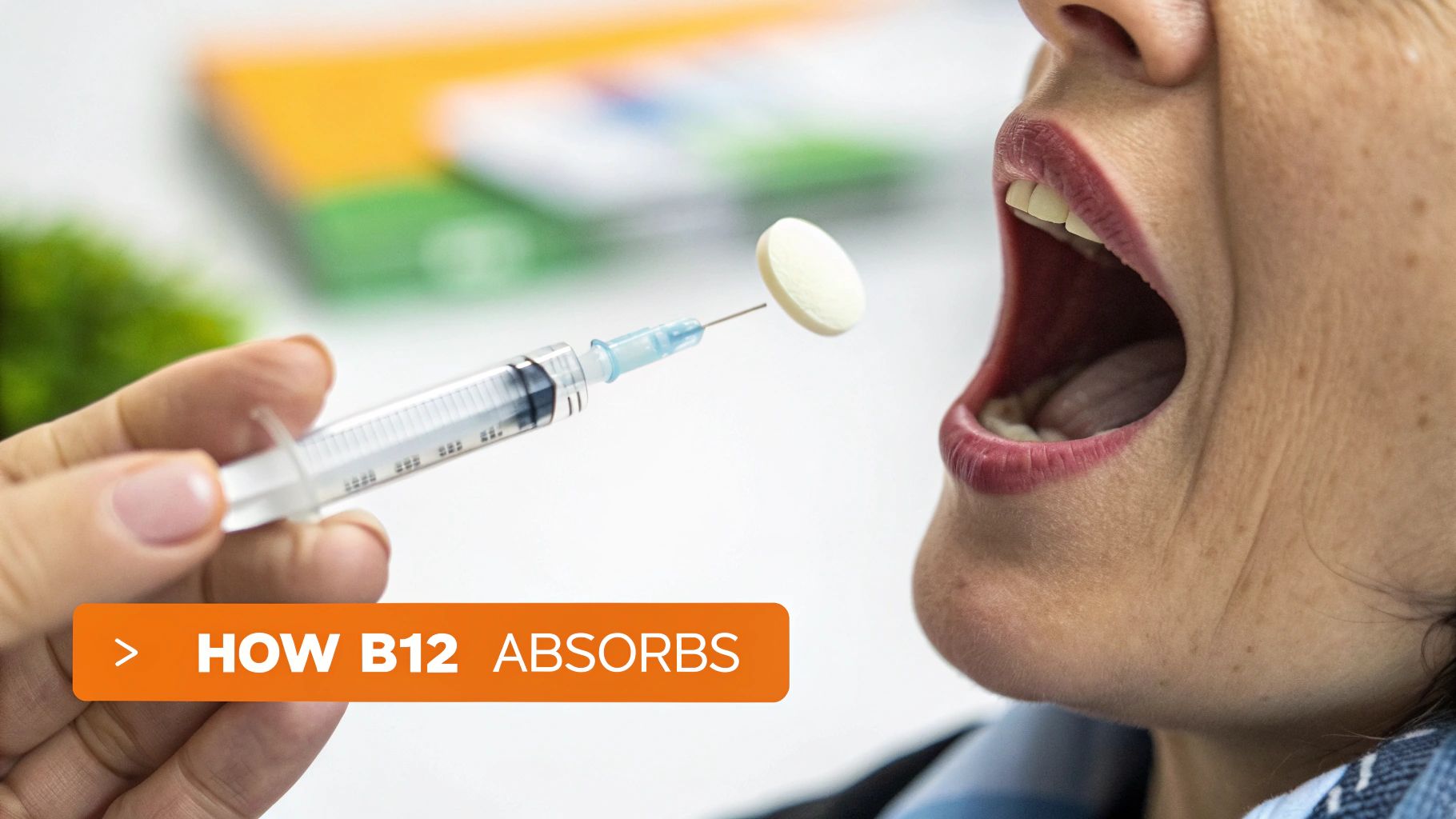A diagram showing the two pathways of B12 absorption in the digestive system.