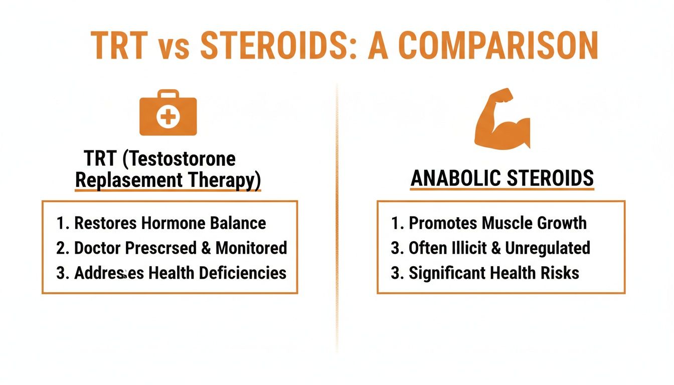 Infographic comparing TRT (Testosterone Replacement Therapy) and Anabolic Steroids, highlighting their purposes and risks.