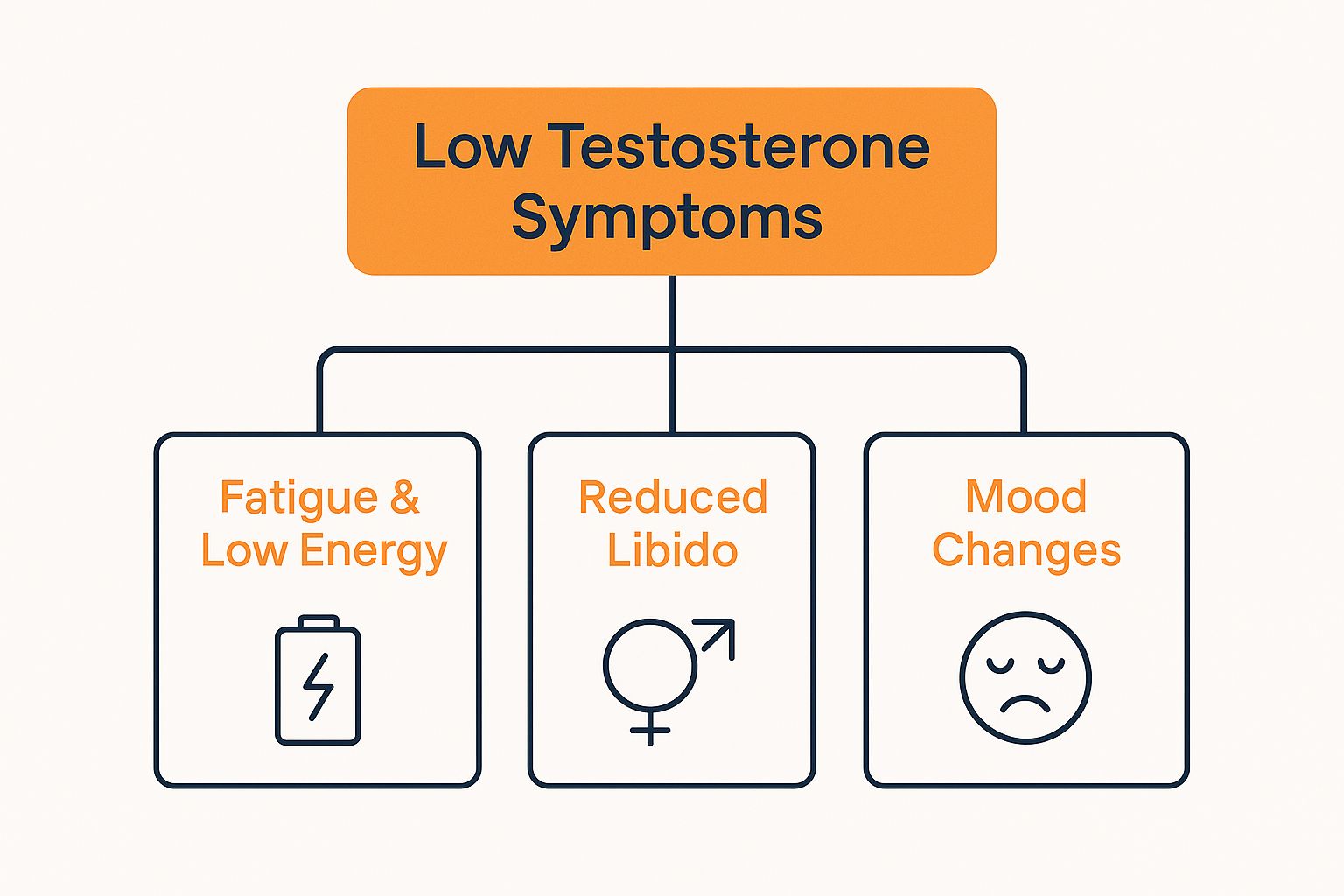 Infographic about low testosterone symptoms in females