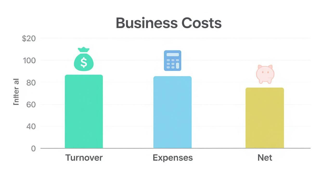 A bar chart titled 'Business Costs' displaying Turnover, Expenses, and Net values.