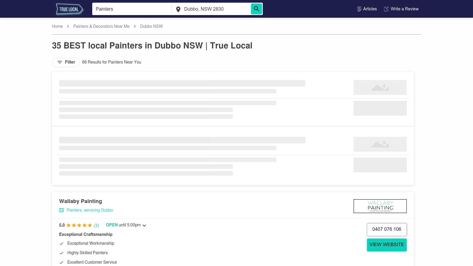 A screenshot of the True Local website showing a listing for painters in the Dubbo area.