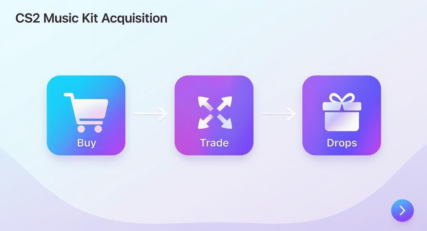 Diagram illustrating three methods for CS2 music kit acquisition: Buy, Trade, and Drops.