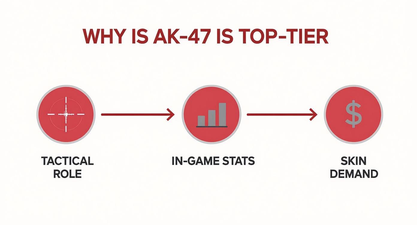 Flowchart detailing AK-47's top-tier status based on tactical role, in-game stats, and skin demand.