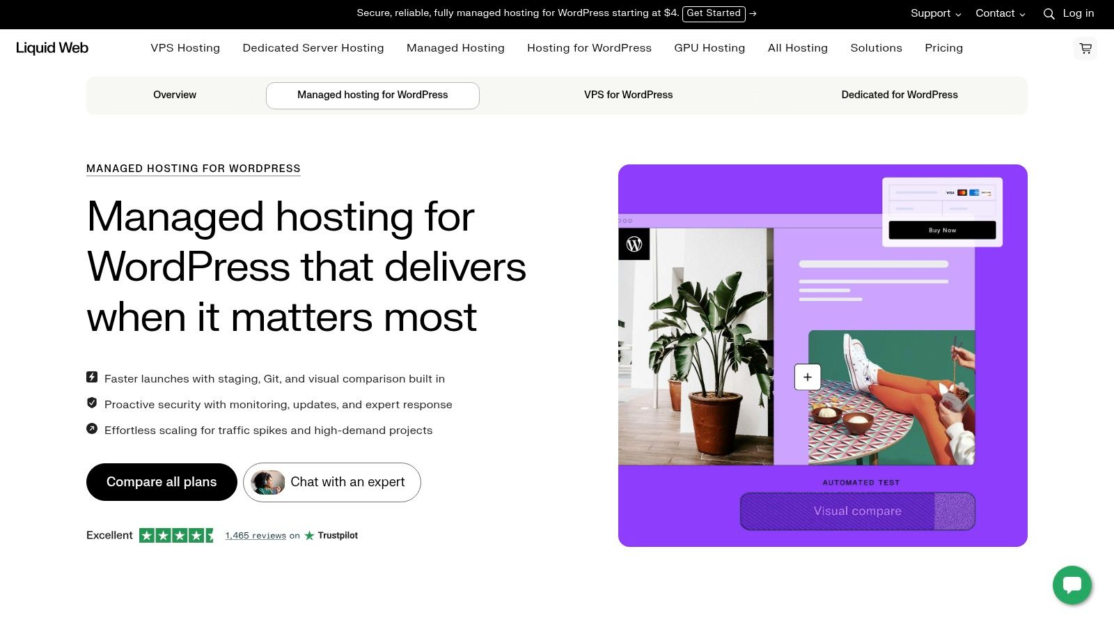 Liquid Web (Managed WordPress)