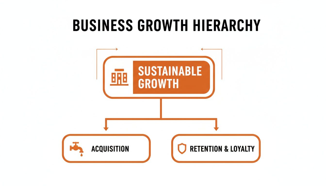 A business growth hierarchy chart showing sustainable growth leading to customer acquisition and retention & loyalty.