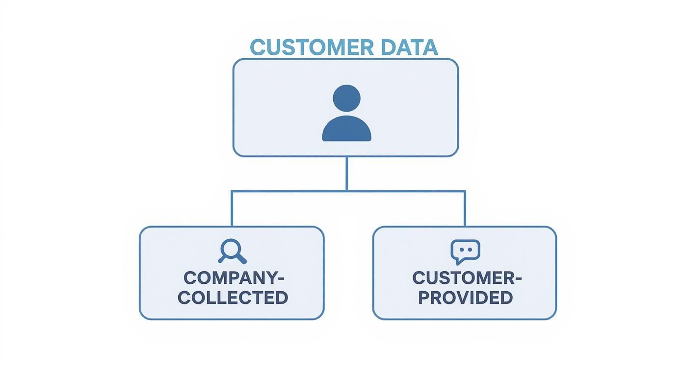 Infographic about what is zero party data