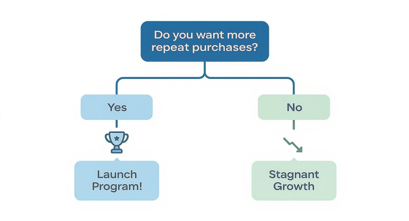 Infographic decision tree asking 'Do you want more repeat purchases?' leading to launching a rewards program for yes, or stagnant growth for no.
