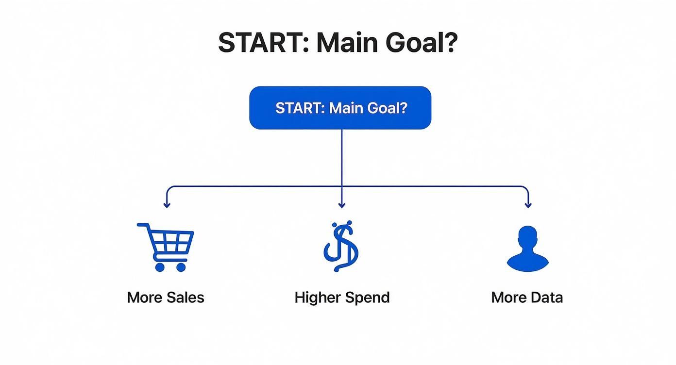 Infographic about building a loyalty program