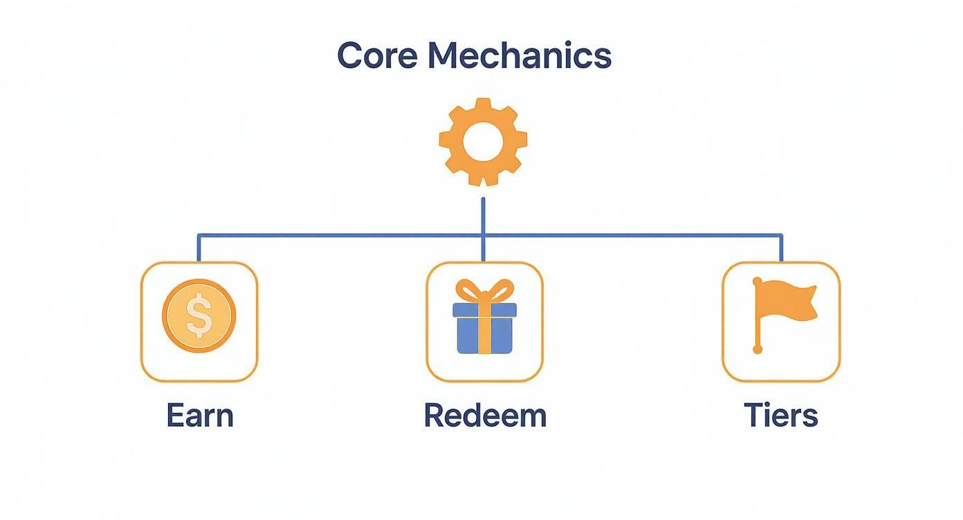 Infographic about point reward system