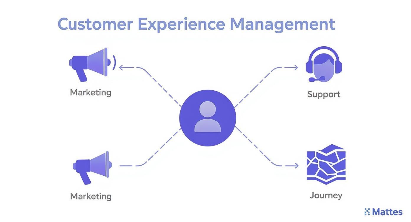Infographic about what is customer experience management