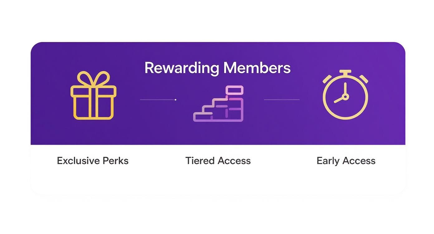 Purple graphic showing 'Rewarding Members' with icons for exclusive perks, tiered access, and early access.