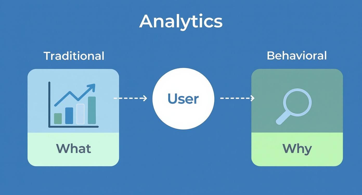 Infographic about what is behavioral analytics