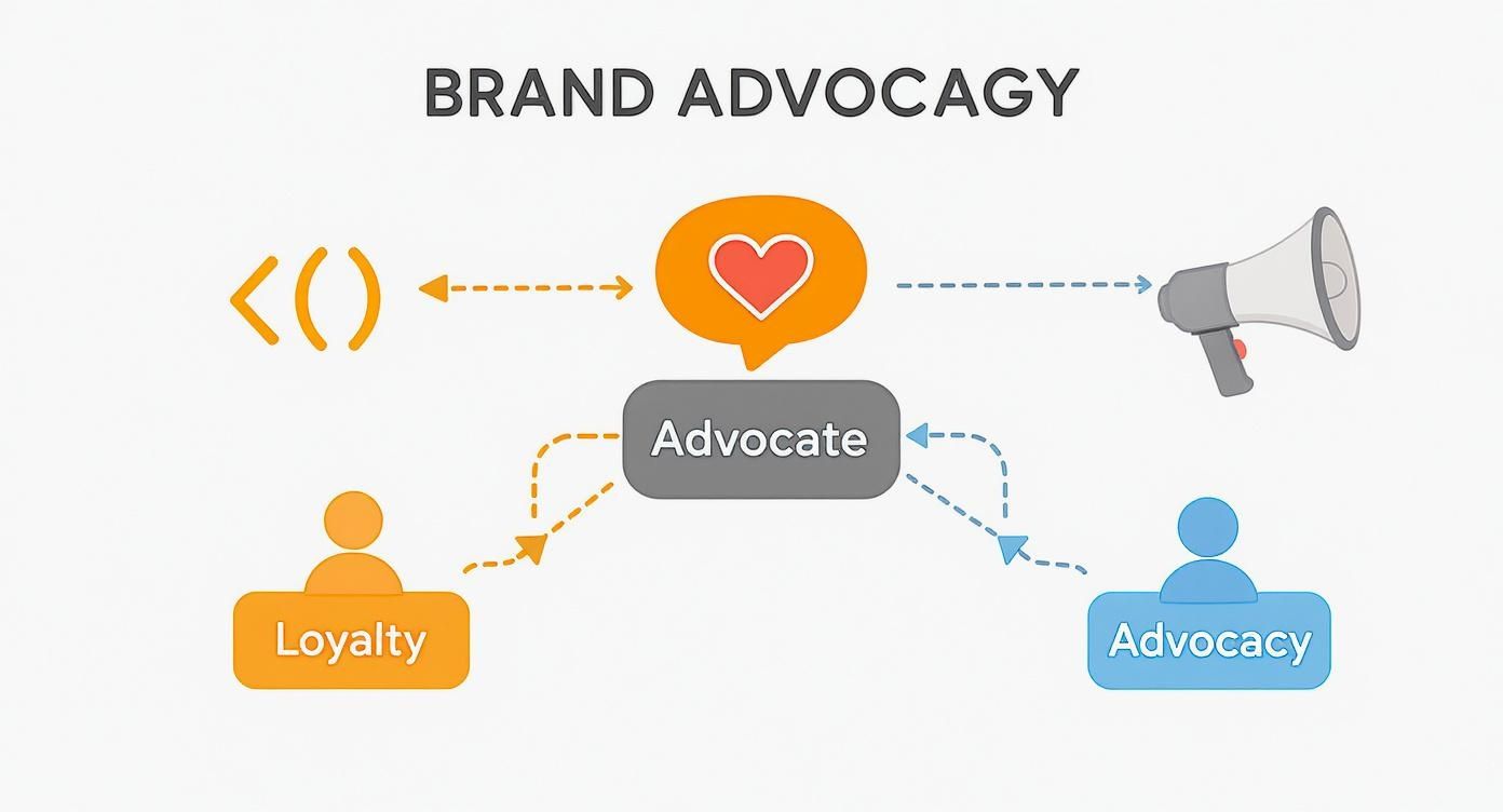 A brand advocacy diagram showing loyalty leading to an advocate who promotes the brand.