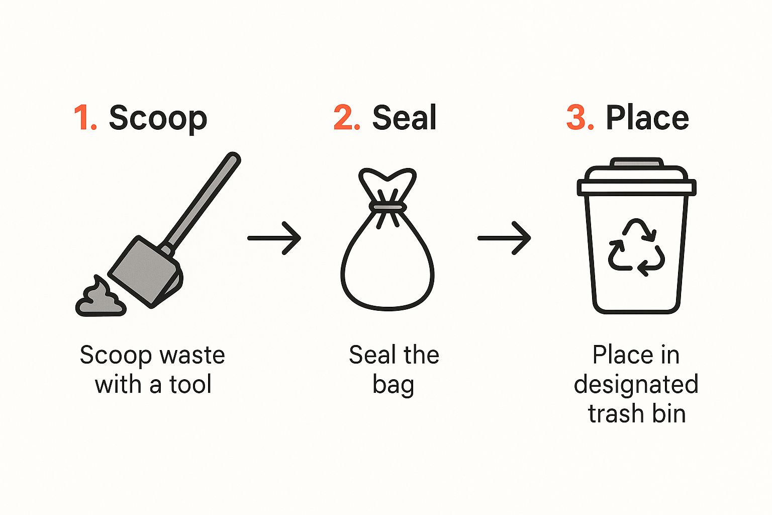 Infographic about what do i do with dog poop