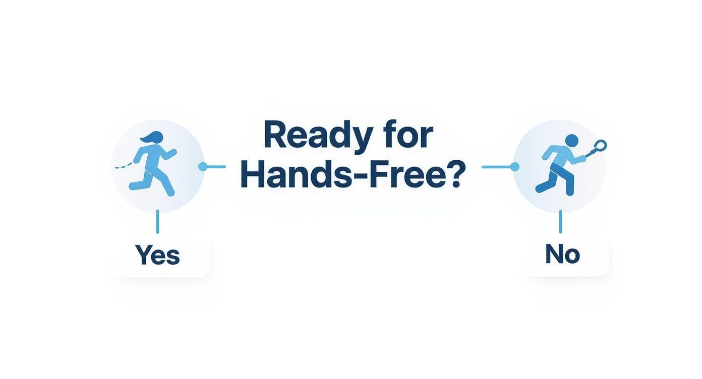 Infographic about best hands free dog leash