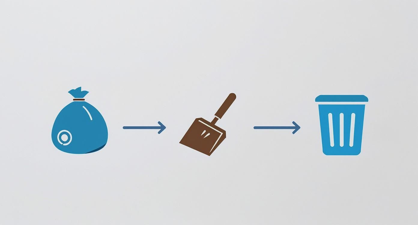 Infographic about disposing of dog waste