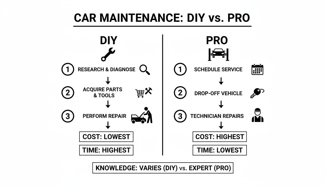 An infographic comparing DIY vs. Pro car maintenance, detailing steps, cost, time, and knowledge.
