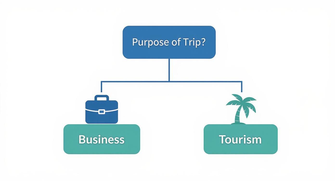 Infographic about difference between b1 and b2 visa