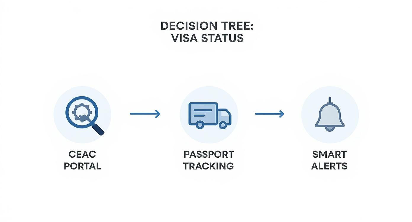 Infographic about check status of visa application