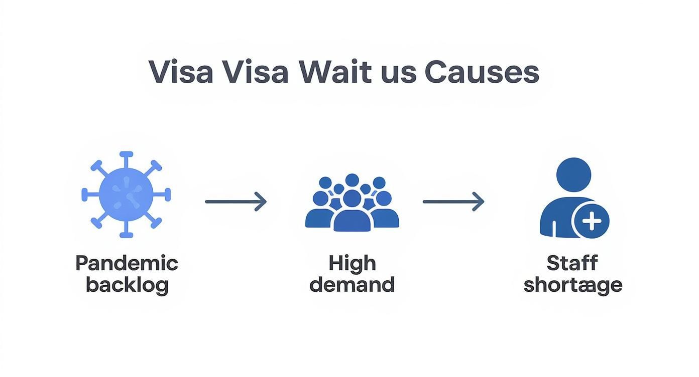 Infographic showing the main causes of US embassy wait times including pandemic backlogs, high demand, and staff shortages.