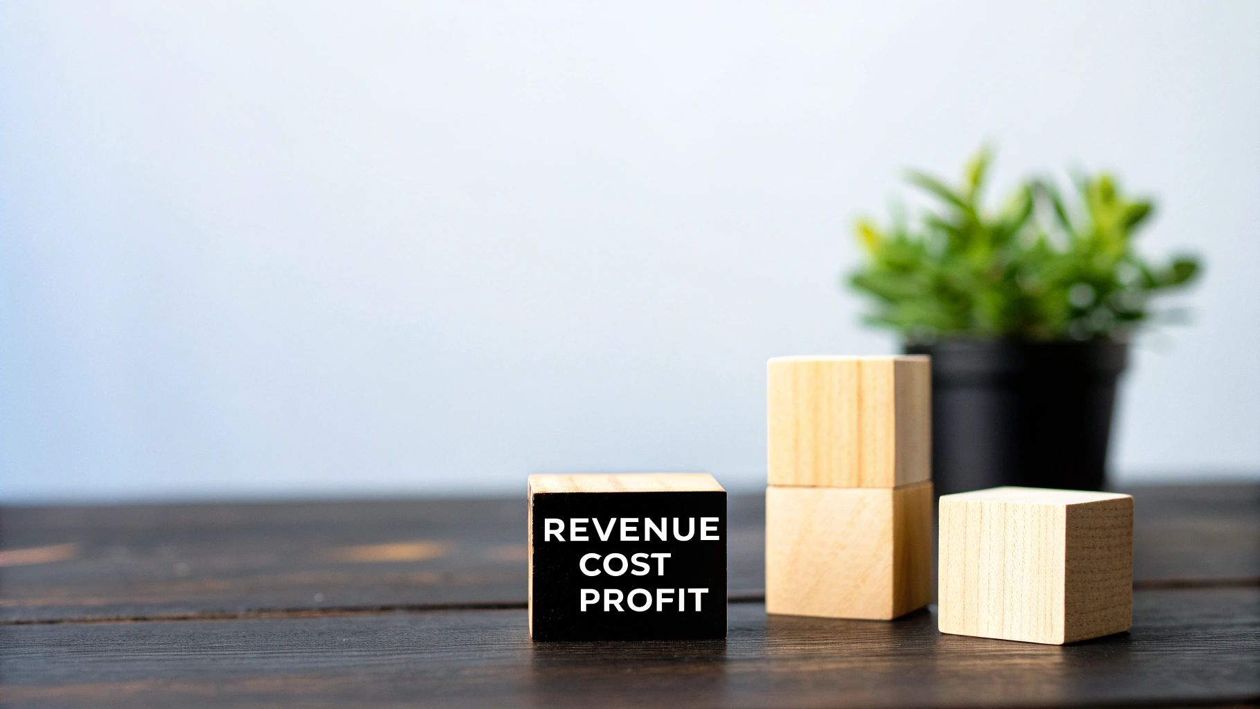 A black block with 'REVENUE COST PROFIT' text sits among natural wooden blocks on a table.