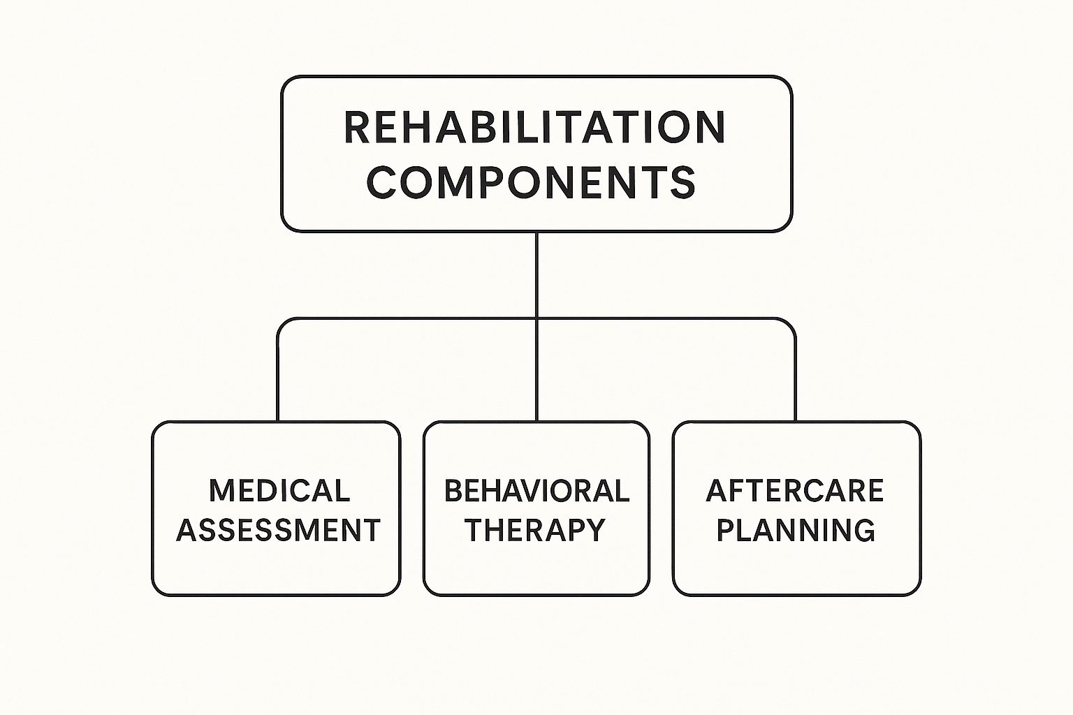 Infographic about what to expect in rehab