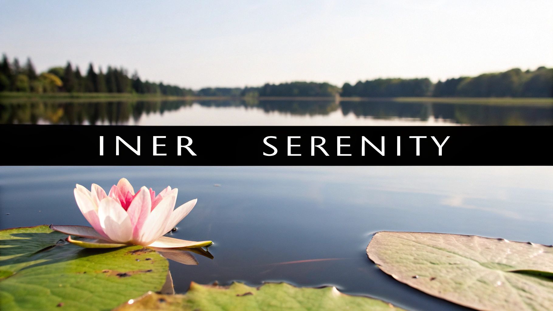 Serenity in Difficult Situations