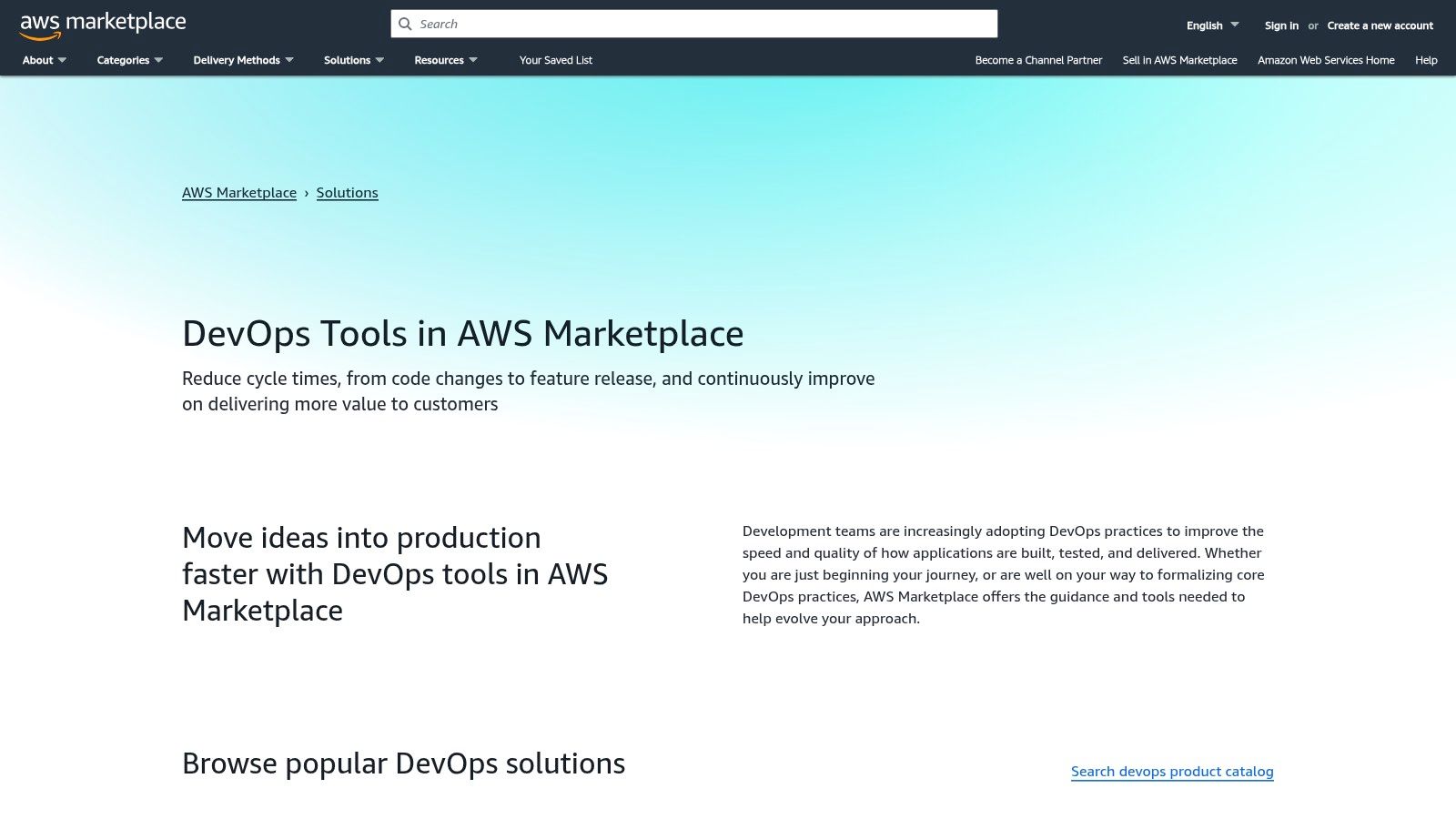 AWS Marketplace (DevOps/Developer Tools)
