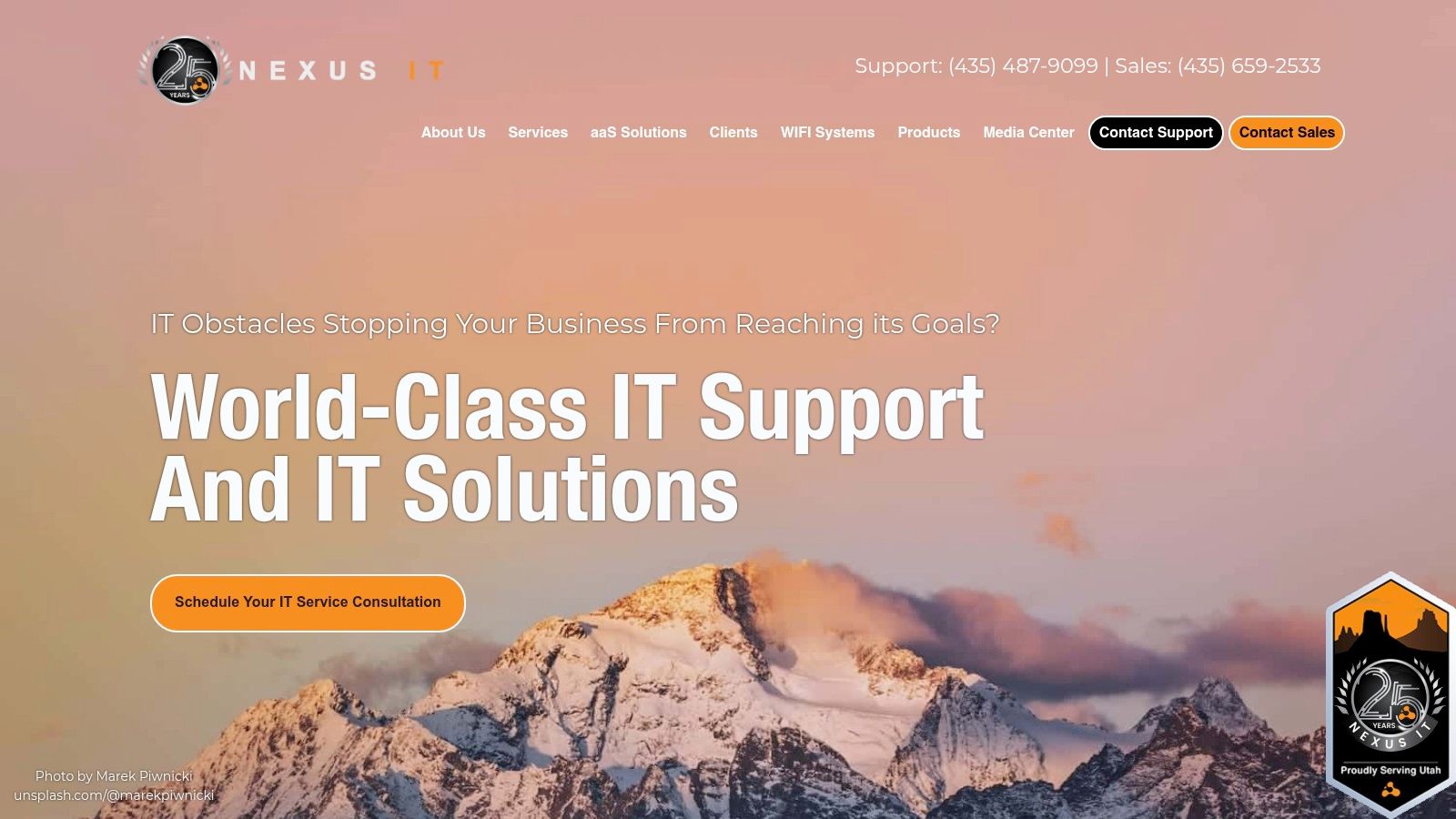 Nexus IT Consultants