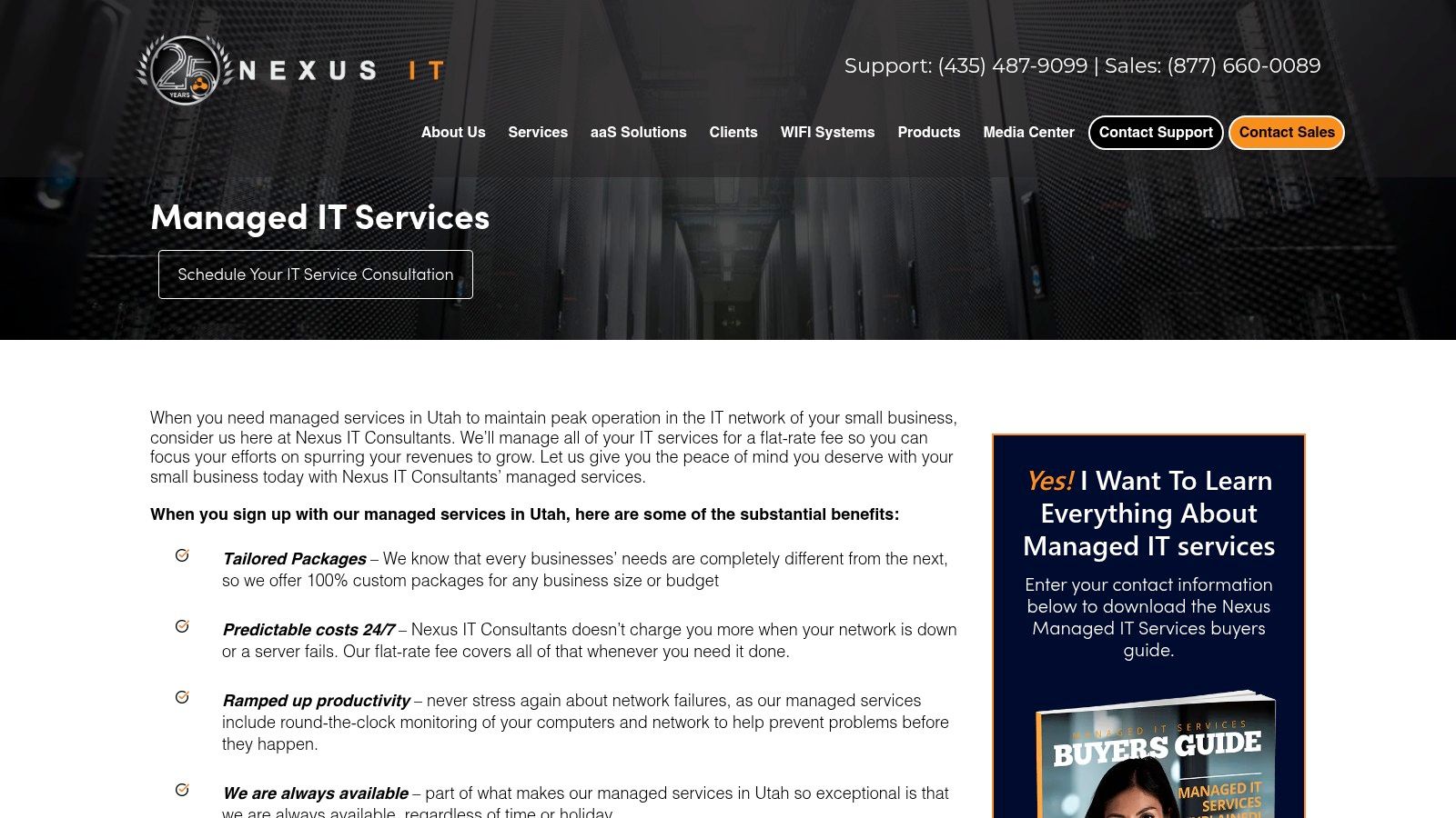 Nexus IT