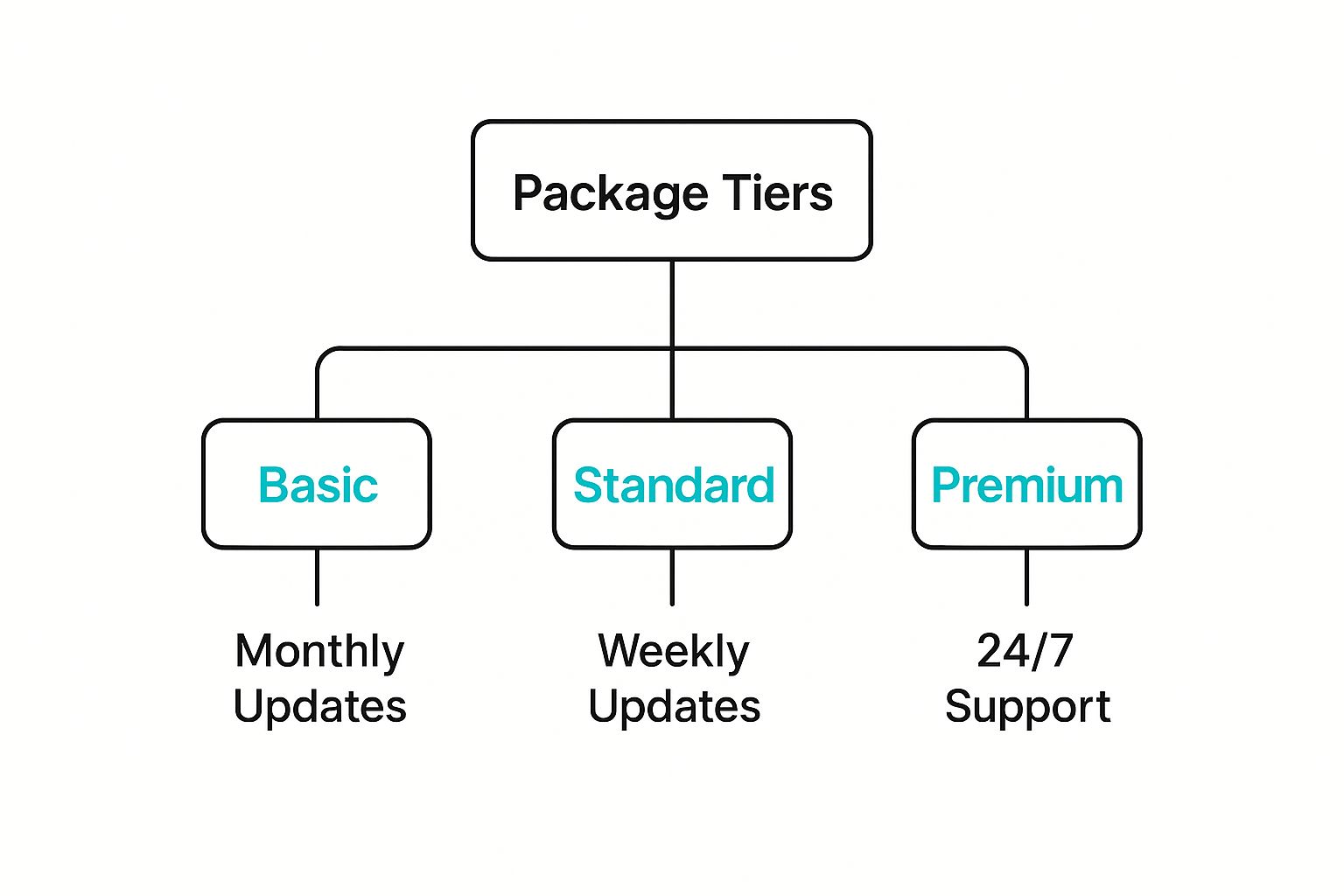 Infographic about website maintenance packages