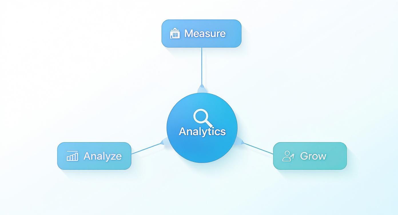 A marketing analytics diagram illustrating the interconnected process of Measure, Analyze, and Grow.