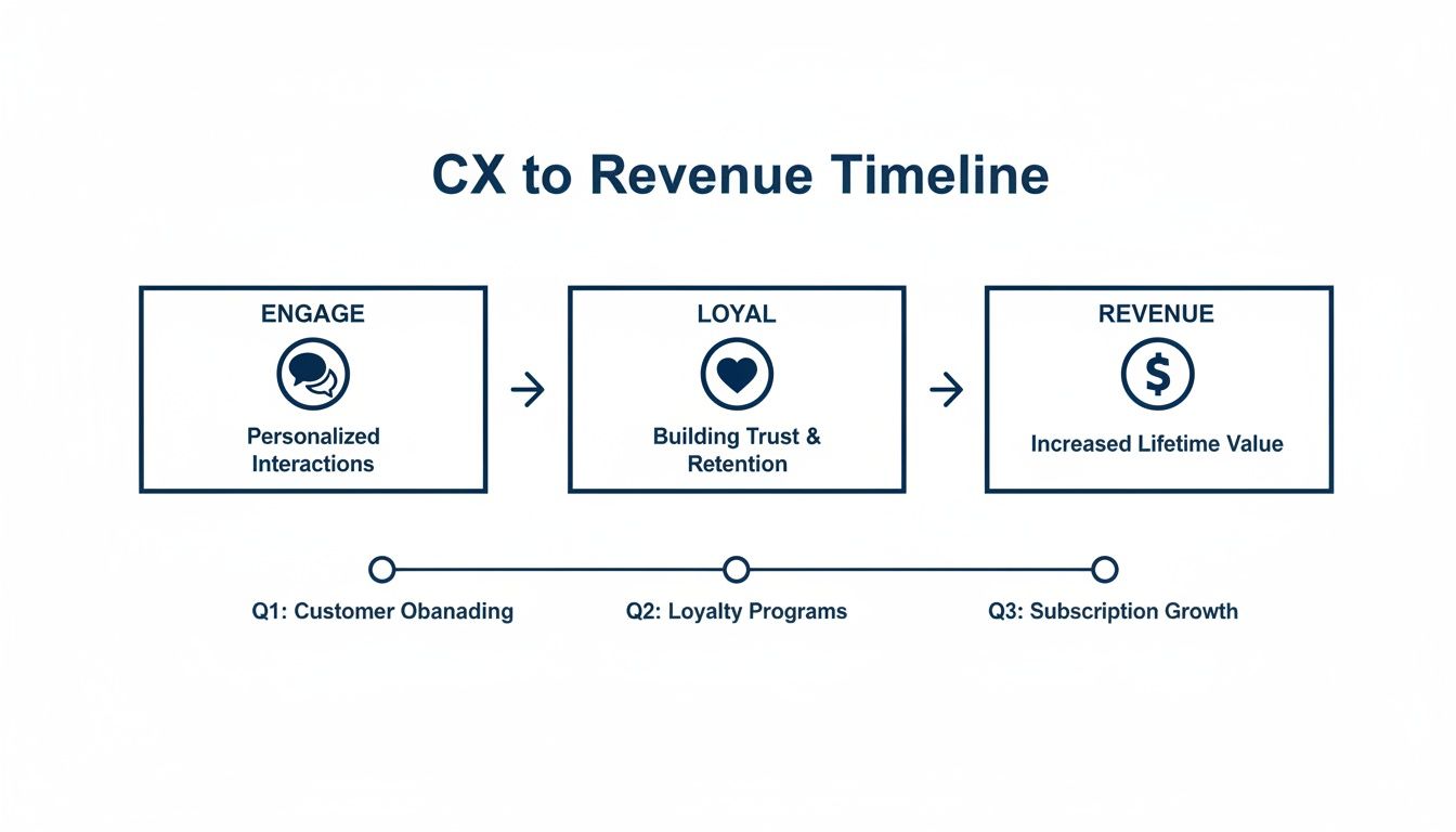 A CX to Revenue Timeline diagram illustrating the progression from customer engagement to increased lifetime value.
