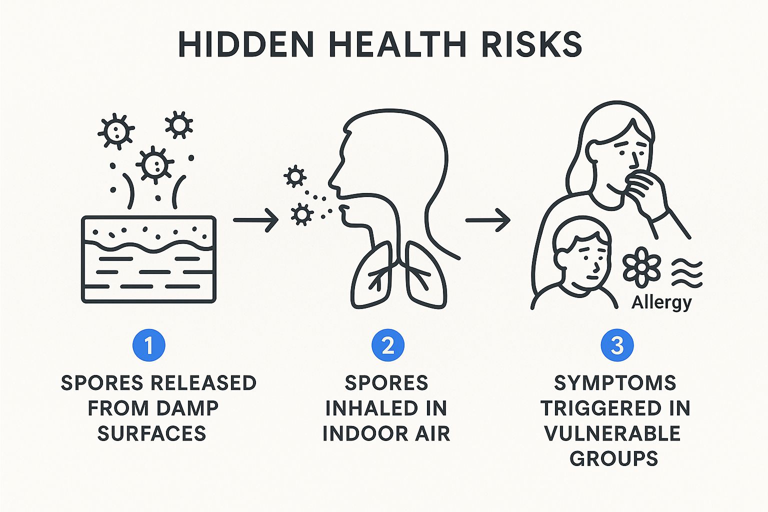 Infographic about mould remediation hamilton