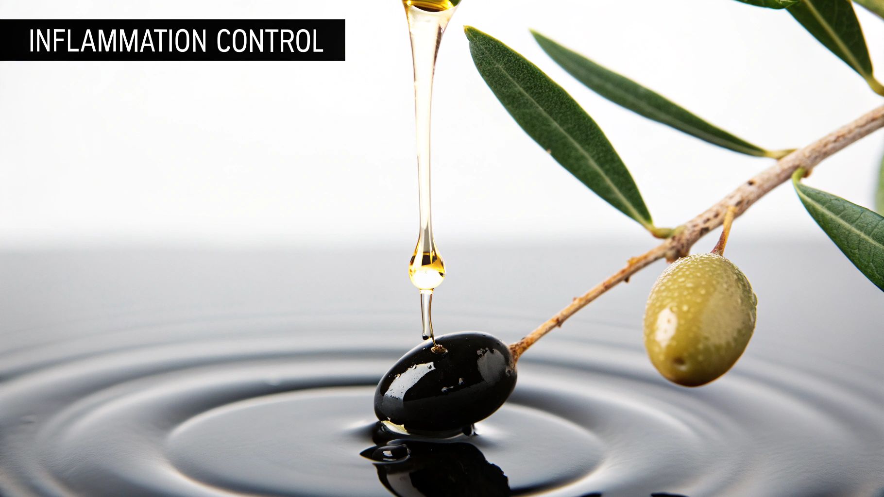 Anti-Inflammatory Properties