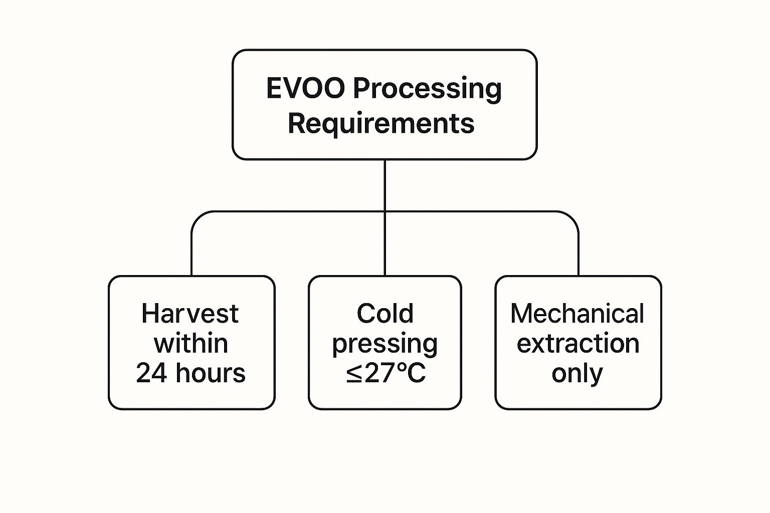 Infographic showing the hierarchy of extra virgin olive oil processing requirements.