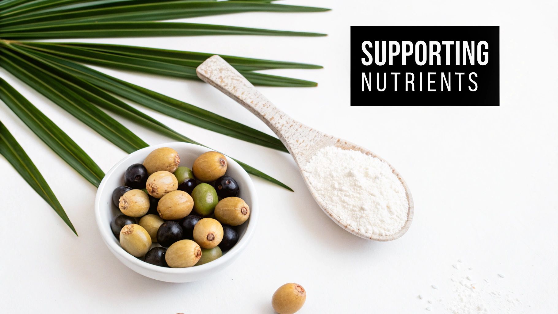 A collection of natural ingredients like herbs and plant extracts.