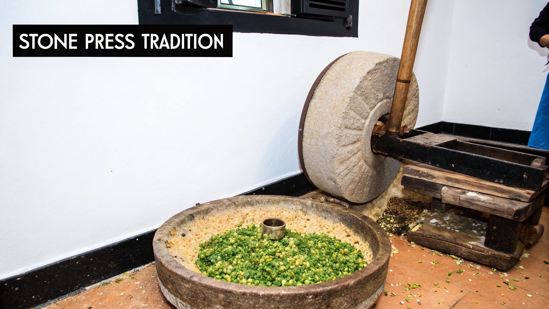 A traditional stone press with a large wheel grinding green olives in a stone basin.
