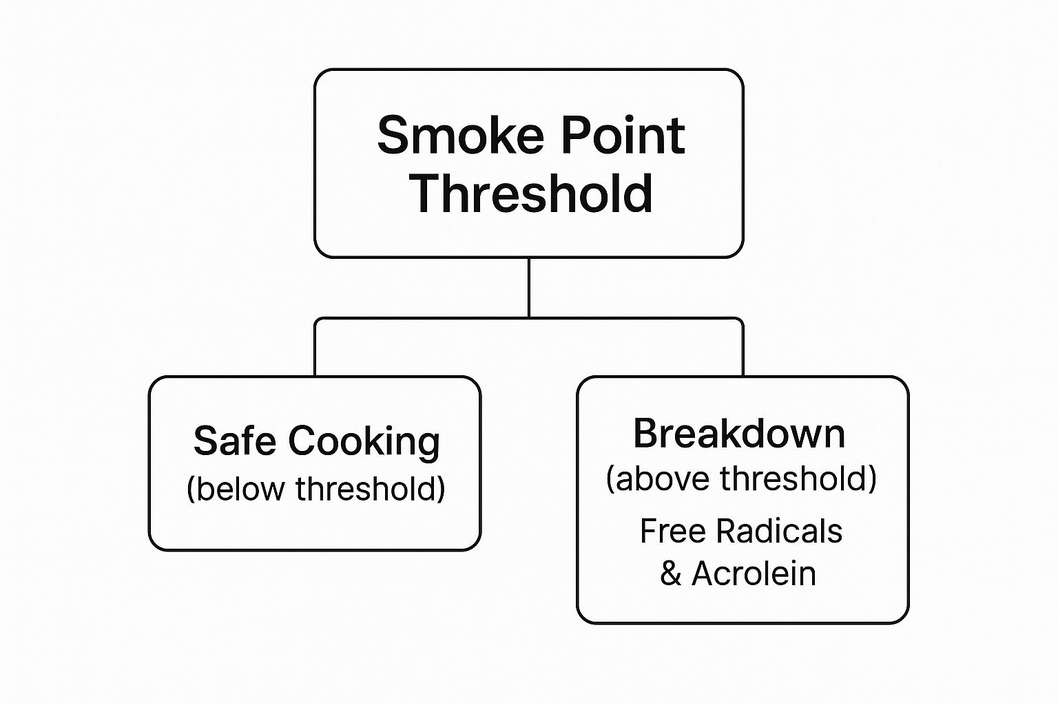 Infographic about high smoke point olive oil