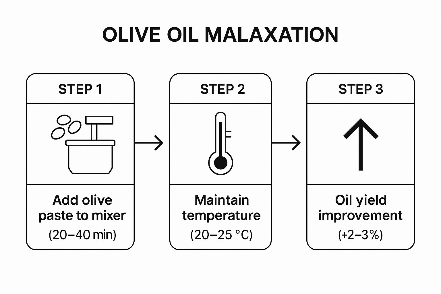 Infographic showing the three steps of olive oil malaxation: mixing the paste for 20-40 minutes, maintaining a temperature of 20-25°C, and improving oil yield by 2-3%.