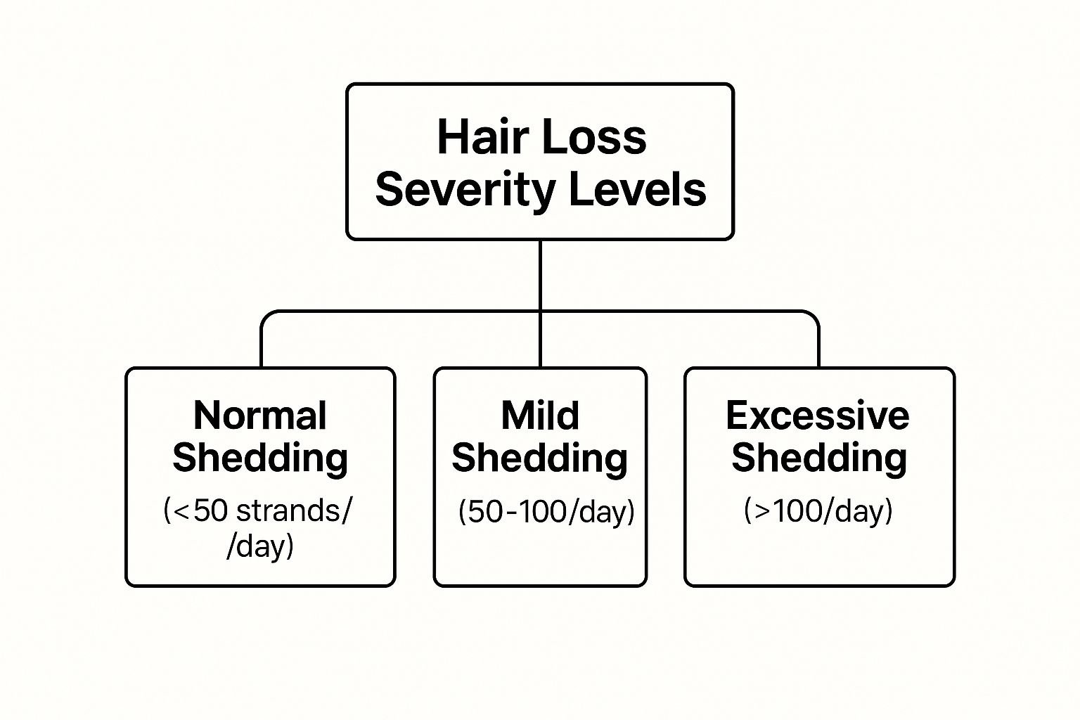 Infographic showing the different levels of hair loss severity, from normal to excessive shedding.